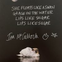 Ian McCulloch Lips Like Sugar