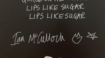 Ian McCulloch Lips Like Sugar
